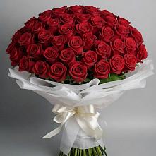 Букет 101 Красная роза Блэк Мэджик в Чанки