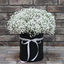 Цветочная композиция из Гипсофила в шляпной коробке в Чанки